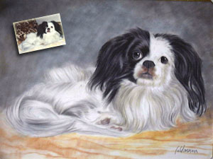Hund Portrait mit Pastelfarben